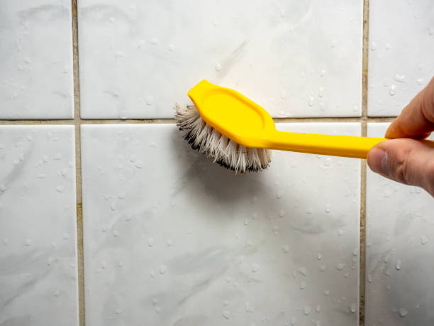Best Localized Mold Remediation (e.g., coastal areas, humid climates) in Inverness, CA
