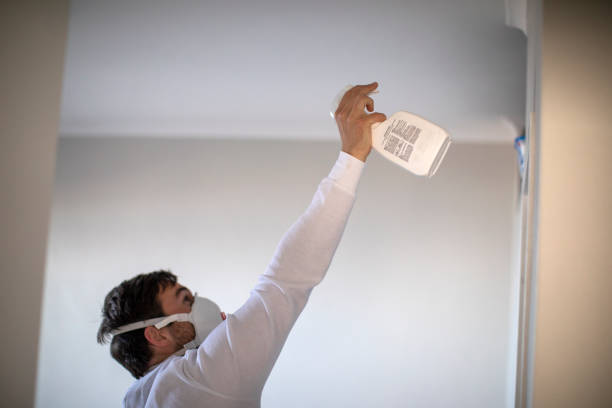 Professional Mold Remediation in Inverness, CA