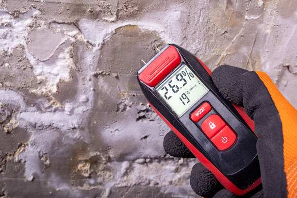 Best Insurance-Related Mold Remediation in Inverness, CA