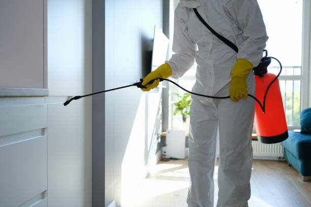 Best Mold Testing and Inspection Services in Inverness, CA